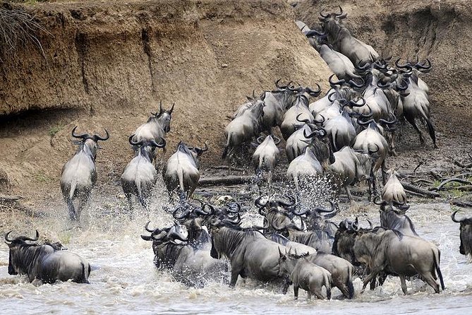 7Days Private Camping Safari Serengeti,Ngorongoro,Manyara,Tarangire,Arusha Parks - Accommodation Options and Inclusions