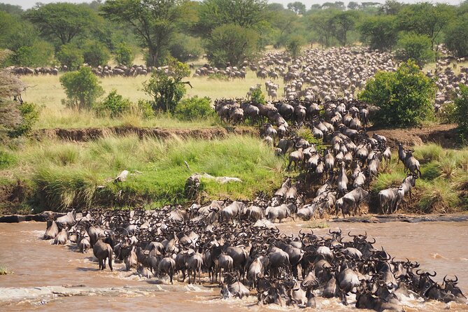 8-Day Grumeti Migration Safari-Luxury Tour May-July