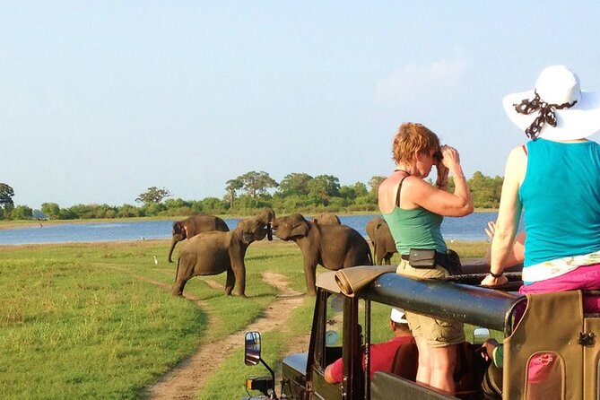 8-Day Private Wildlife Viewing and Chimpanzees Tracking Safari - Good To Know