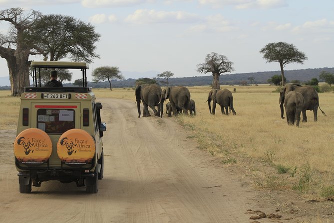 8 Days 7 Nights Private Lodge Safari - Good To Know