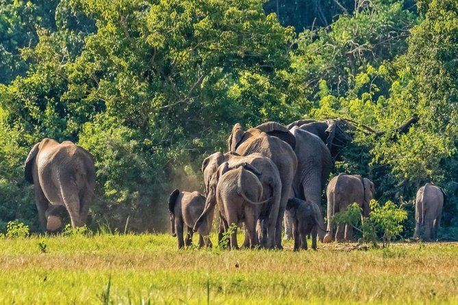 8 Days Game Adventure Safari Kidepo Valley National Park And Sipi Falls - Good To Know