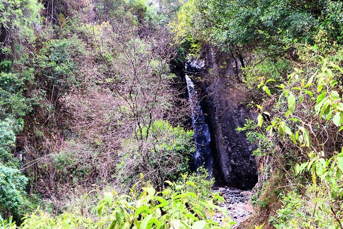 1 Day Arusha National Park (Game Drive and Walking Safari). - Picnic Lunch Experience