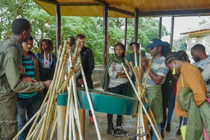 1 Day Canopy Walk Adventure in Nyungwe Forest Park (2 Pax Min) - Inclusions and Exclusions