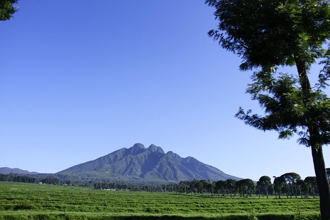 1 Day Mt Bisoke Hike Adventure in Volcanoes Park ( 2 Pax Min)