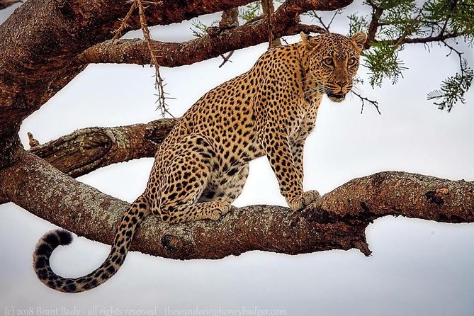 1 Day Safaris To Tarangire National Park - Additional Information