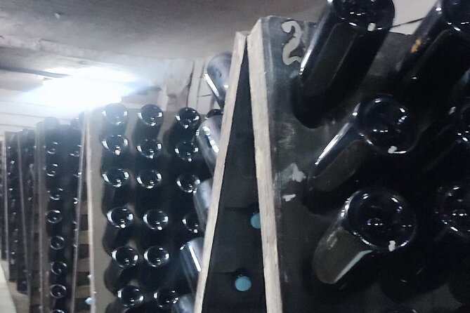 1 Day: Wine Tasting Tour to Milesti Mici and Cricova Cellar From Moldova - Culinary Delights