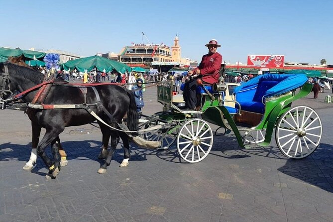 1-Hour Horse Carriage Ride: Discover Marrakech in Style - Landmarks to Discover