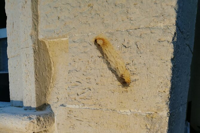 1 Hour Walking Tour The Ancient Jewish Quarter in Lecce - Booking Information