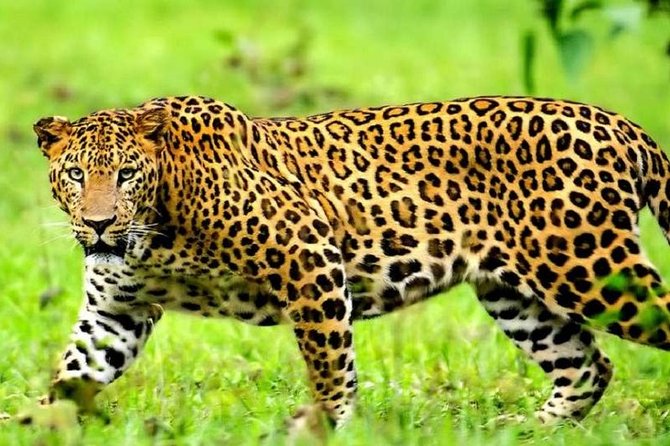 10-Day Private Spectacular Big 5 Wildlife Safari and Beach Holiday - Pricing and Group Size