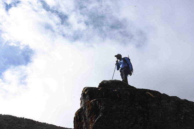 10 Days Mount Kilimanjaro Hike Northern Circuit Route - Detailed Itinerary Breakdown