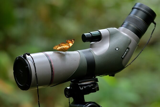 14 Day Ghana Butterfly Tour - Pickup and Departure