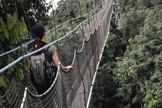 2 Day Canopy Walk Adventure and Lake Kivu Tour - Directions and Accessibility
