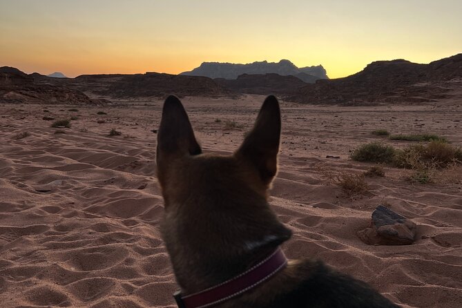 2 Day Private Desert Experience in Sinai - Location Details