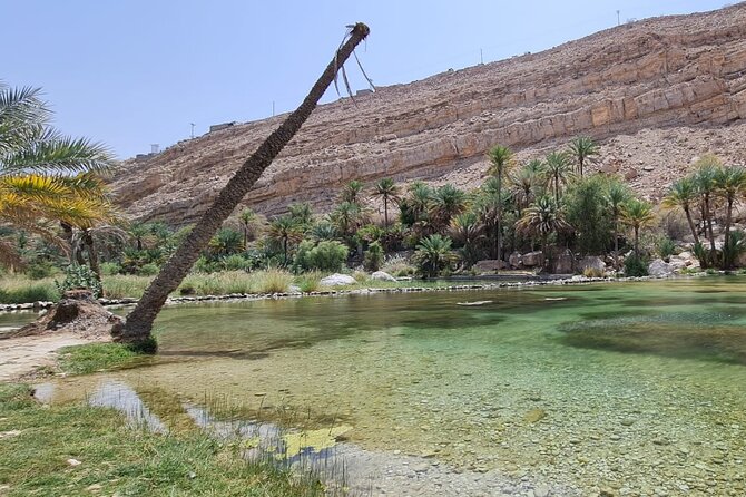 2-Day Private Wahiba Sands Desert Camping Tour From Muscat - The Sum Up