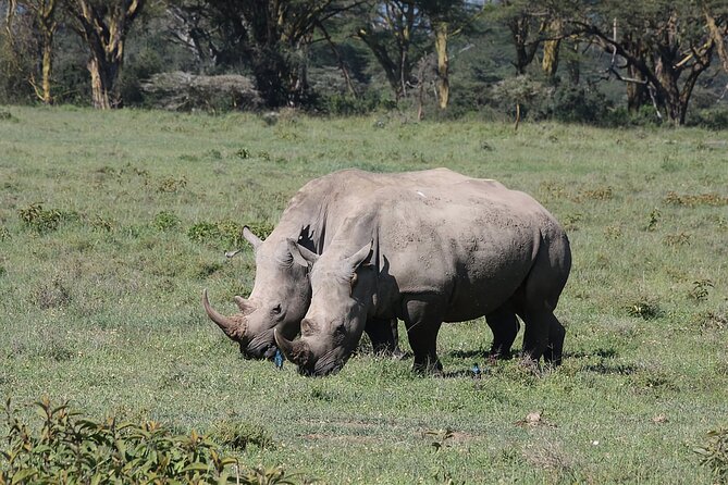 2 Day Tour Hells Gate, Lake Naivasha and Lake Nakuru - Accommodation Details