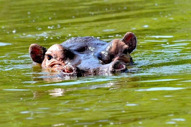 2-Day Wildlife Safari in Lake Mburo National Park - Frequently Asked Questions