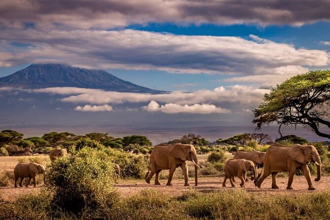 2 Days Amboseli National Park Safari Escape With Kentau - Pickup and Departure Details