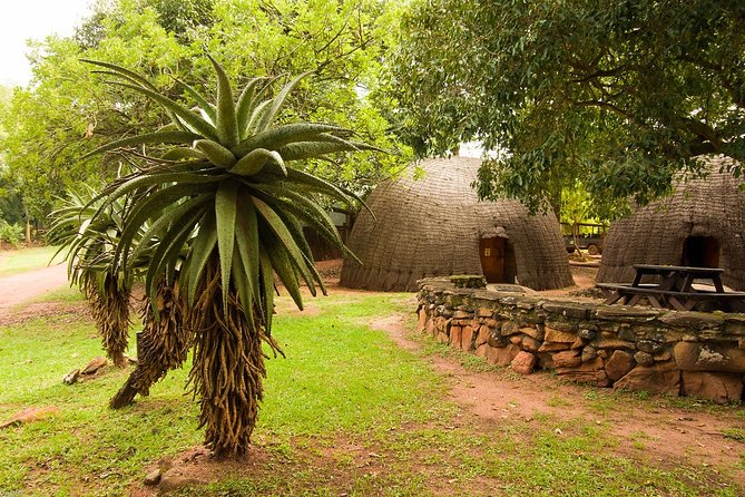 2 Days Cultural Swaziland Hlane National Park - Wildlife Encounters