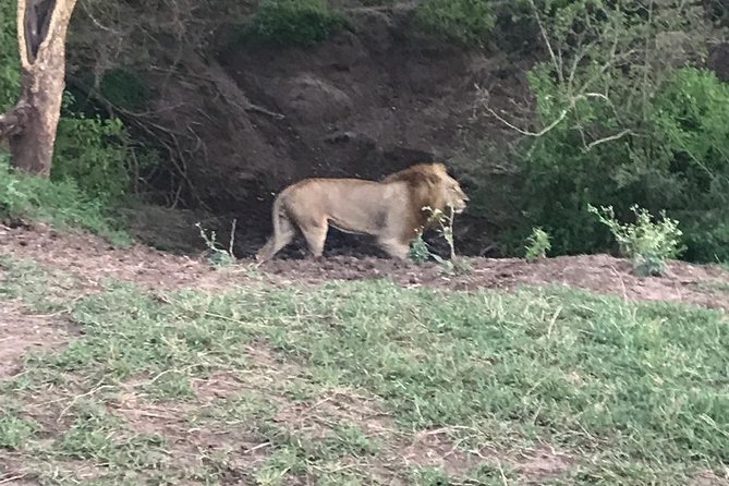 2 Days Masai Mara Private Safari From Nairobi - Tour Overview