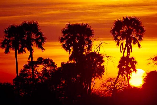 2 Days Ruaha National Park - Logistics and Meeting Point