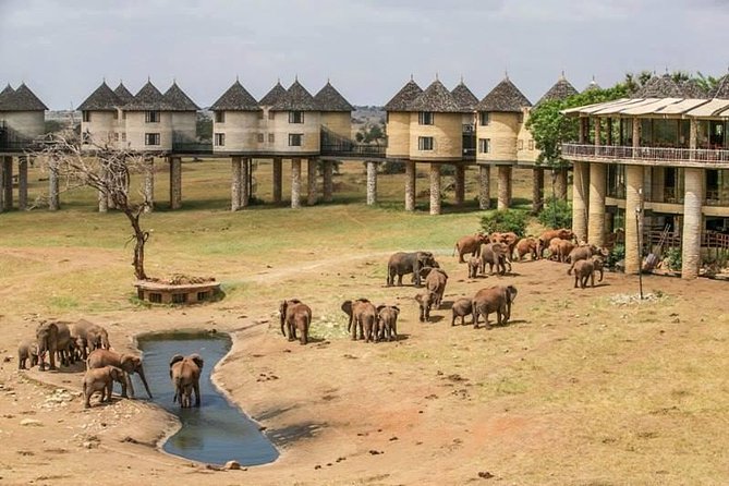 2 Days Taita Hills Saltlick Safari (Minimum 2 Pax) - Accommodation at Taita Hills Resort