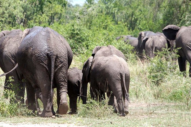 20 Days Combined East African Adventure Safari
