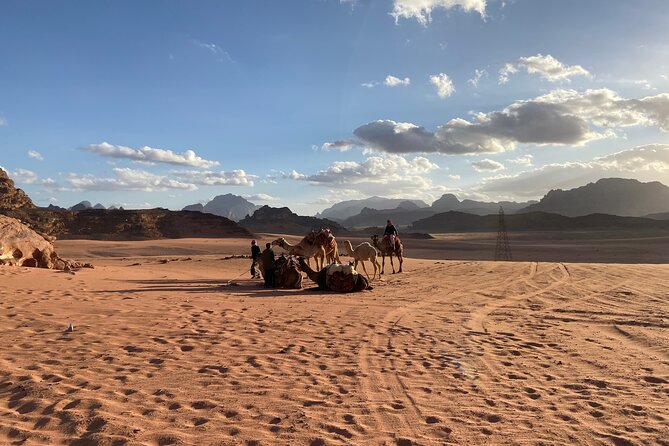 3-Day Group Tour to Petra, Wadi Rum and Northern Jordan From Amman/Dead Sea - Booking and Availability Instructions