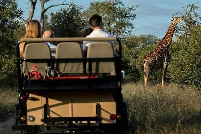 3-Day Private Budget Safari to Serengeti Np and Ngorongoro Crater - Pickup Information