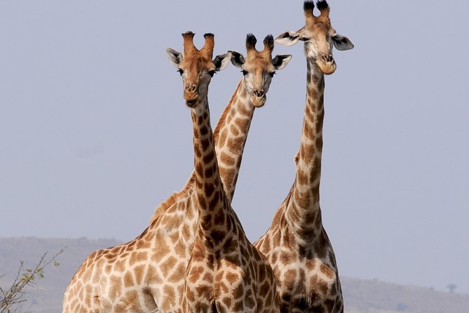 3-Day Tour to Queen Elizabeth National Park - Accommodation Details