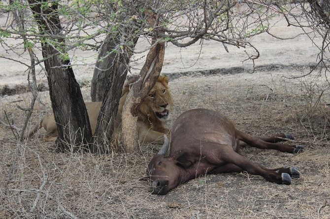 3 Days/2Nights Nyerere National Park Safari - Included Amenities