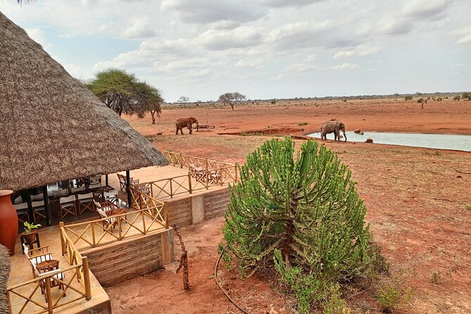 3-Days Guided Safari Tour of Tsavo East & Taita From Nairobi. - Tour Overview