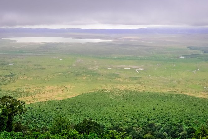 3 Days Safari to Tarangire ,Lake Manyara and Ngorongoro Crater - Cancellation Policy