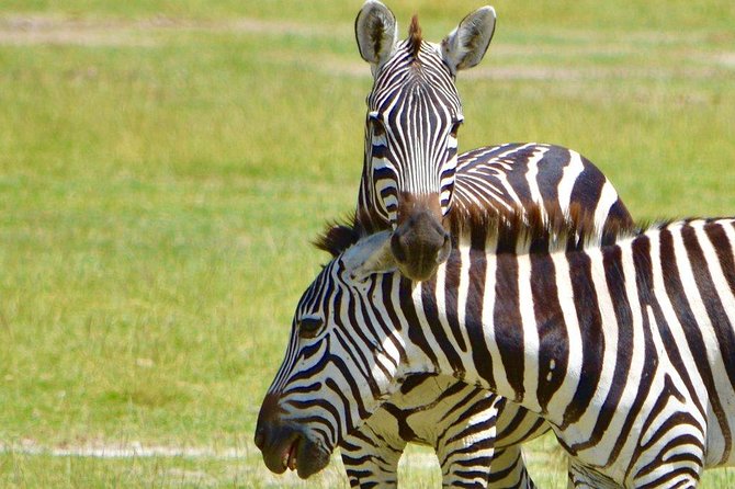 3 Days Tsavo East, Taita Hills Saltlick and Amboseli Kenya Safari - Accommodation and Dining Details