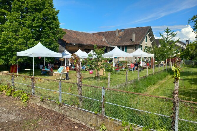 3 Hour Private Tour Countryside Vineyards With Local Wine Tasting - Pricing Information