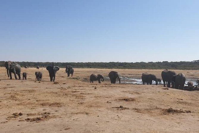 3 Nights Victoria Falls , Chobe Safari and Hwange National Park Safari - Booking and Pricing