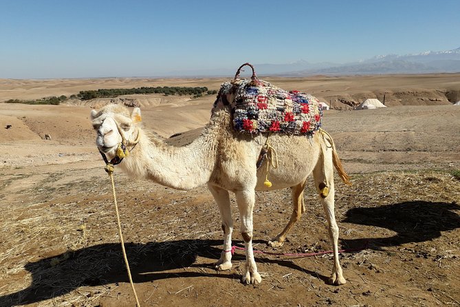 3days Fes Desert Ait Ben Hadou Atlas Mountains Dopoff Marrakech - Cancellation Policy
