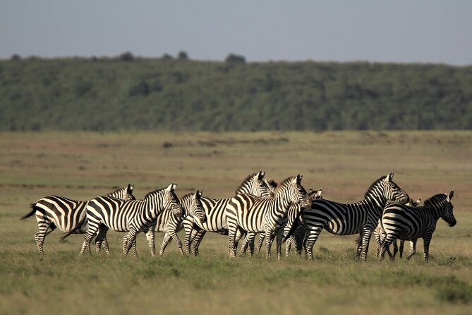 4-Day Masai Mara Luxury Kenya Safari Private Tour - Meals and Exclusions