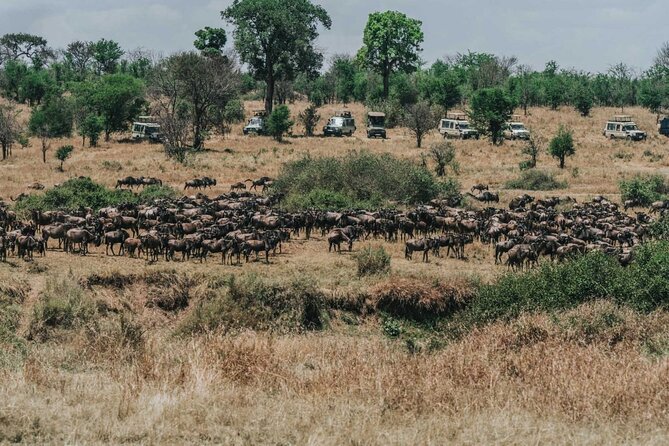 4-Day Private Tour in Masai Mara - Inclusions and Exclusions