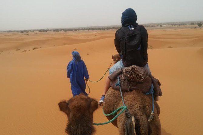4 Days Shared Desert Tour From Marrakech to Zagora and Merzouga - Tour Highlights