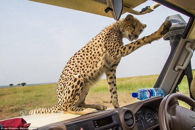 4 Days Tanzania National Parks Private Safari From Zanzibar - The Sum Up
