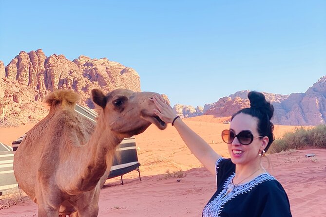 4 Hour Jeep Tour (Morning or Sunset) - Wadi Rum Desert Highlights - Customer Reviews