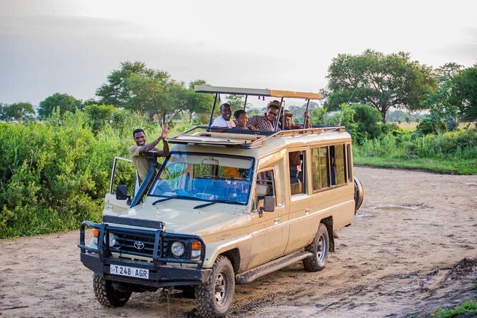 5-Day Private Tour in Mikumi National Park and Udzungwa Mountain - Safety and Health Guidelines