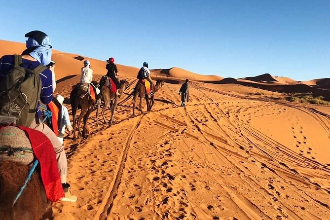 5 Days Mount Toubkal and Sahara Desert Tour - Tour Overview