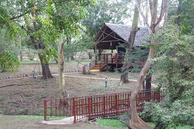 5 Days Safari Tsavo East Voyager Ziwani Amboseli Tsavo West Kilanguni Serena Ldg - Important Pickup Information