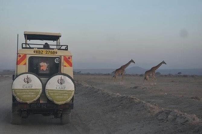 6-Day Experience the Wild Masai Mara Reserve - What To Expect