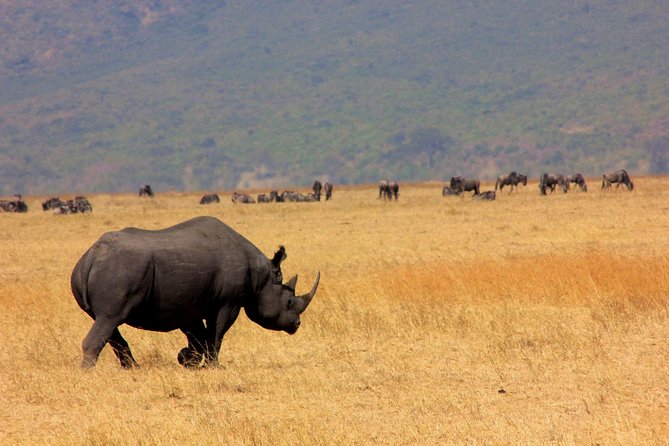 6 Days 5 Nights Lodge Safari Tarangire, Manyara, Serengeti & Ngorongoro Crater - Frequently Asked Questions