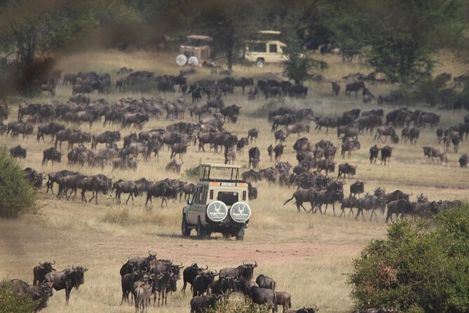 6 Days Enchanting Tanzania Safaris - Mid Range Safari - Tour Highlights