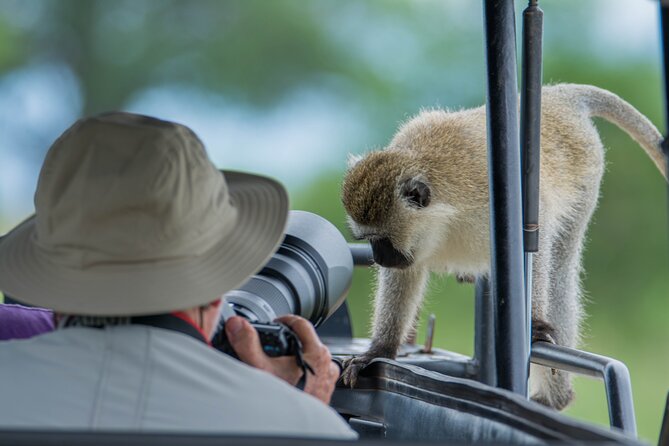 6 Days Luxury Safari Tarangire, Ngorongoro, Serengeti and Manyara - Transportation and Pickup Information