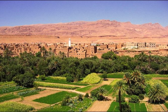 6 Days Ouarzazate and High Atlas Private Tour From Marrakech - Booking and Contact Details
