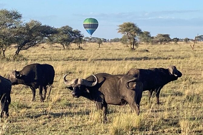 6 Days Tanzania National Parks Tour - Accommodation Details